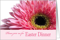 Easter dinner invitation Pink Gerbera Daisy card