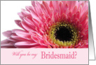 Will you be my Bridesmaid? card