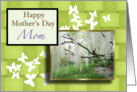 Happy Mother’s Day Mom, wisteria floral card