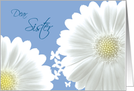 Sister Bridesmaid Invitation White daisies and Butterflies card