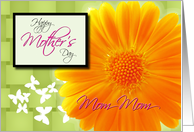 Mom-Mom Mothers Day Daisy card