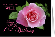 75th Birthday for Wife Beautiful Pink Rose Custom Relation card