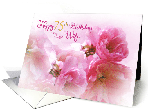 75th Birthday for Wife Pink Cherry Blossom Romantic card (612221)