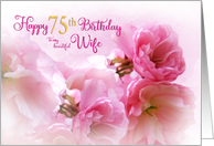 75th Birthday for Wife Pink Cherry Blossom Romantic card