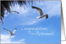 Retirement Congratulations card with Seagulls tropical card