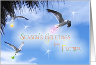 Season’s Greetings from Florida tropical card with Seagulls and ornaments card