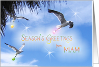 Season’s Greetings from Miami tropical card with Seagulls and ornaments card