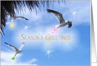 Season’s Greetings tropical, Seagulls and ornaments card