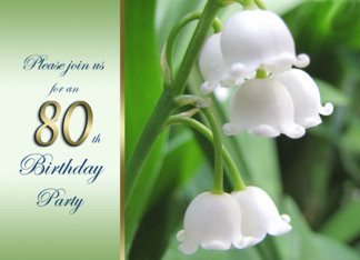80th birthday Party...