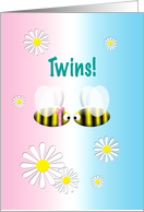 Announcement Twins...