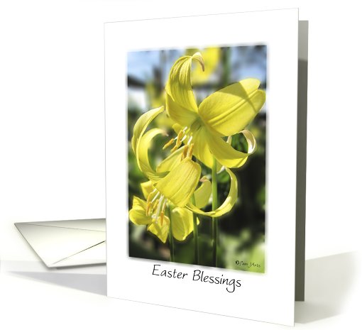 Easter Blessings Floral card (752315)