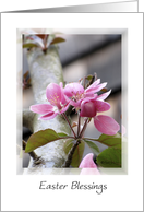 Easter Blessings Floral Apple Blossom card