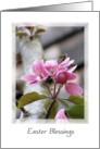 Easter Blessings Floral Apple Blossom card