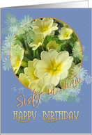 Sister in Law Happy Birthday Primroses Blue and Yellow card