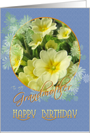 Grandmother Happy Birthday Primroses Blue and Yellow card