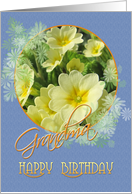 Grandma Happy Birthday Primroses Blue and Yellow card
