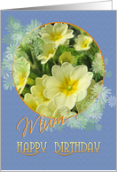 Mum Happy Birthday Primroses Blue and Yellow card