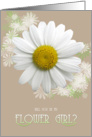 Will you be my Flower Girl? Daisy Oyster color card