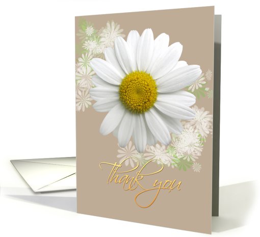 Thank you Daisy on Oyster color card (798276)