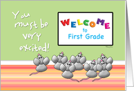 Welcome to 1st Grade...