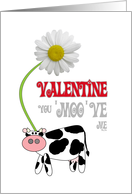 Valentine’s Day Cute Cow and Daisy You ’Moo’ve Me card