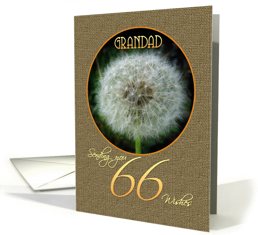 Grandad Happy 66th Birthday Dandelion Wish card (887766)