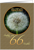 Grandad Happy 66th Birthday Dandelion Wish card