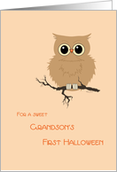 Grandson First Halloween Cute Owl on Tree Branch card