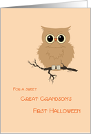 Great Grandson First Halloween Cute Owl on Tree Branch card