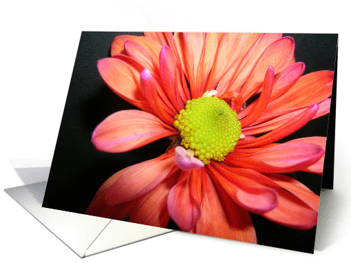 flower thank you card (306109)