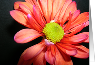 flower card