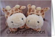 new baby twin giraffes card