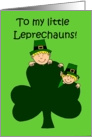 My little leprechauns card