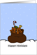 Twin bears in Santas sack card