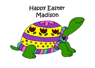 Colorful Easter turtle madison