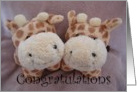 Twin giraffe congratulations card