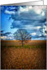 Lone Tree card