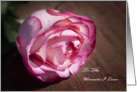 Pink Rose card