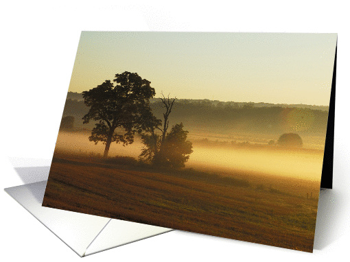 Ohio Morning card (1057209)