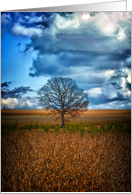 Lone Tree card