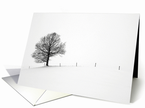 Winter Tree card (1057215)