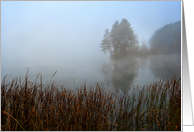 Morning On Lake Nimisila Blank Note Card