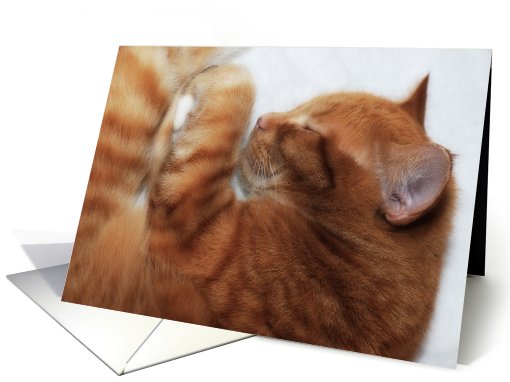 Sleeping Fergie card (307450)