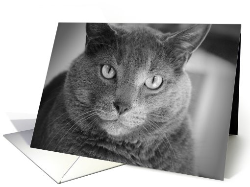 Joseph card (307457)