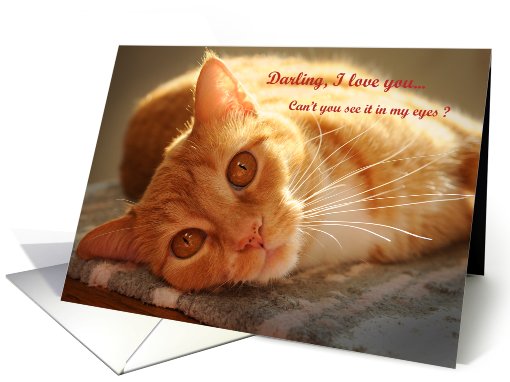 Fergie's Loving Eyes card (432022)