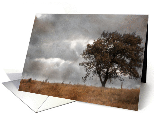 WindBlown card (308182)