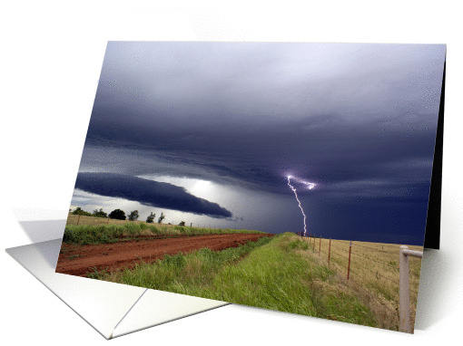 Natures Power card (308184)