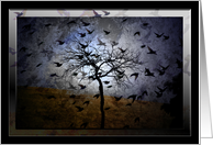 Crow Birthplace card