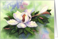 Magnolia Majesty card