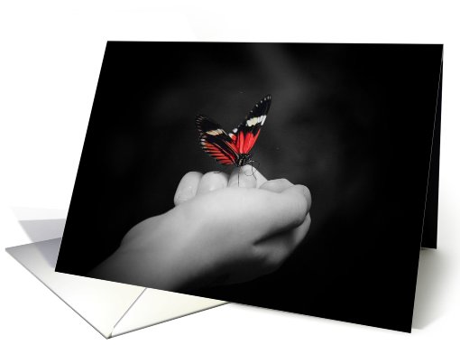 Magic Wings card (543200)
